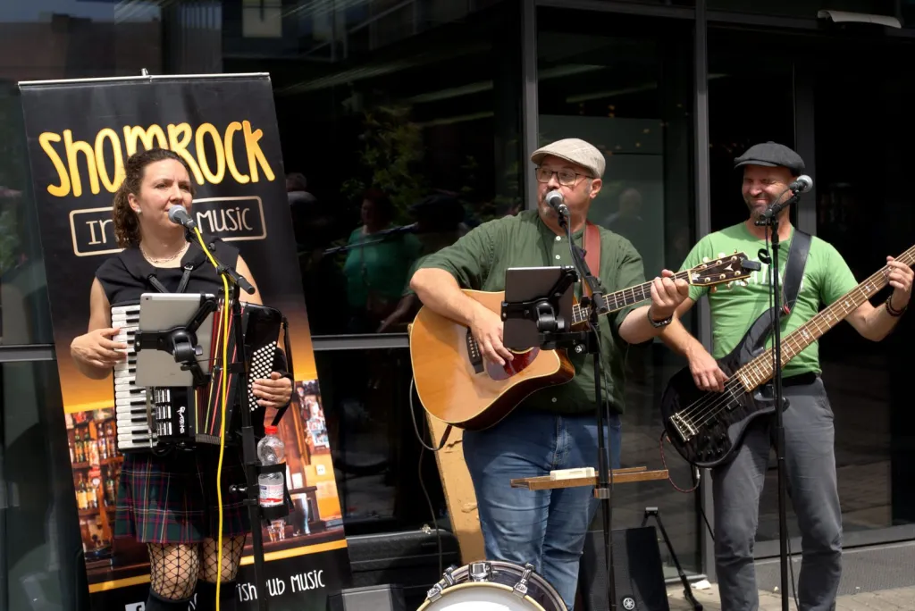 Acoustic Folk, Carefully Arranged